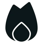 Blaze SVG Icon